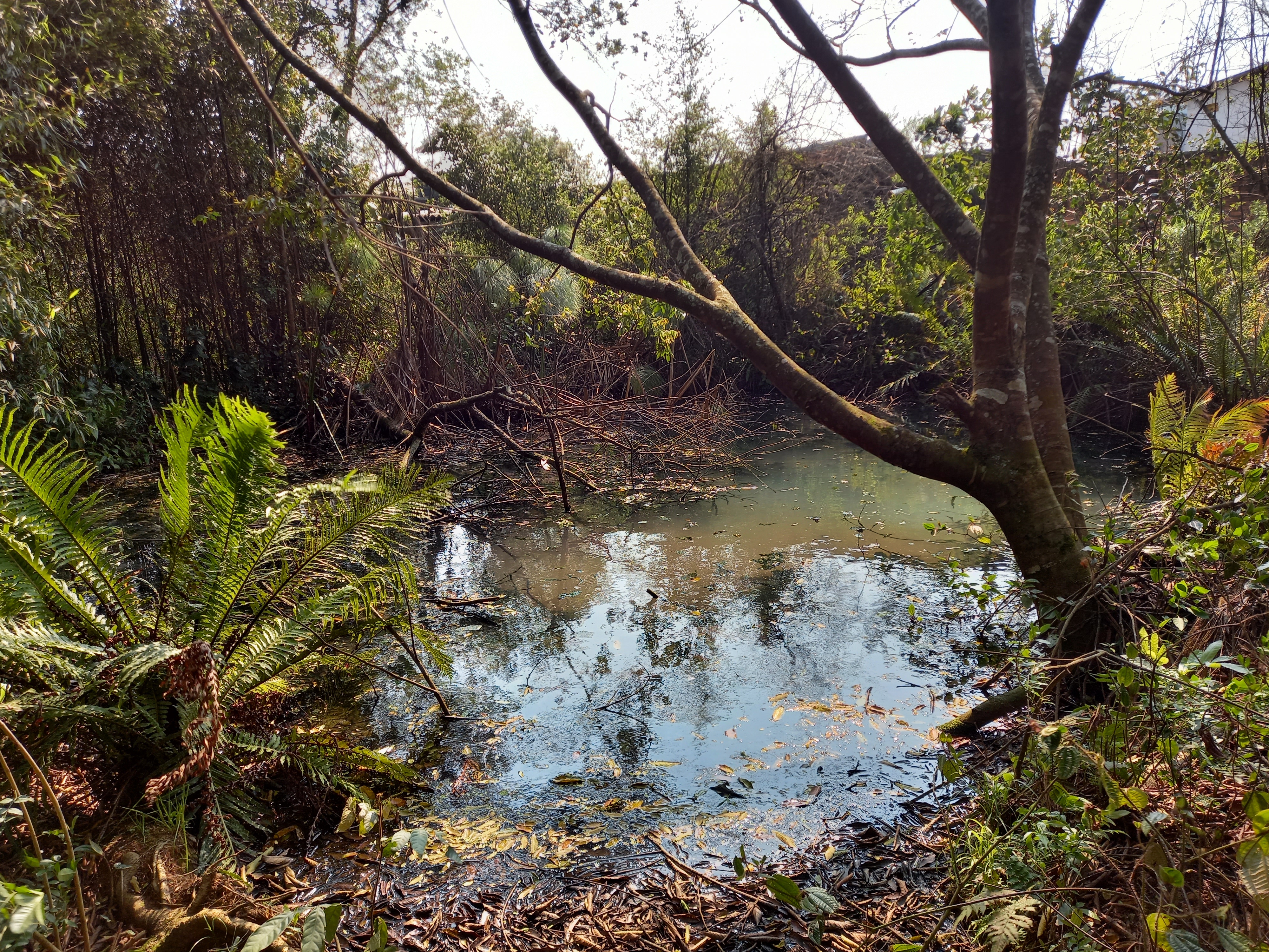 Empresa de Licenciamento Ambiental em Santos
