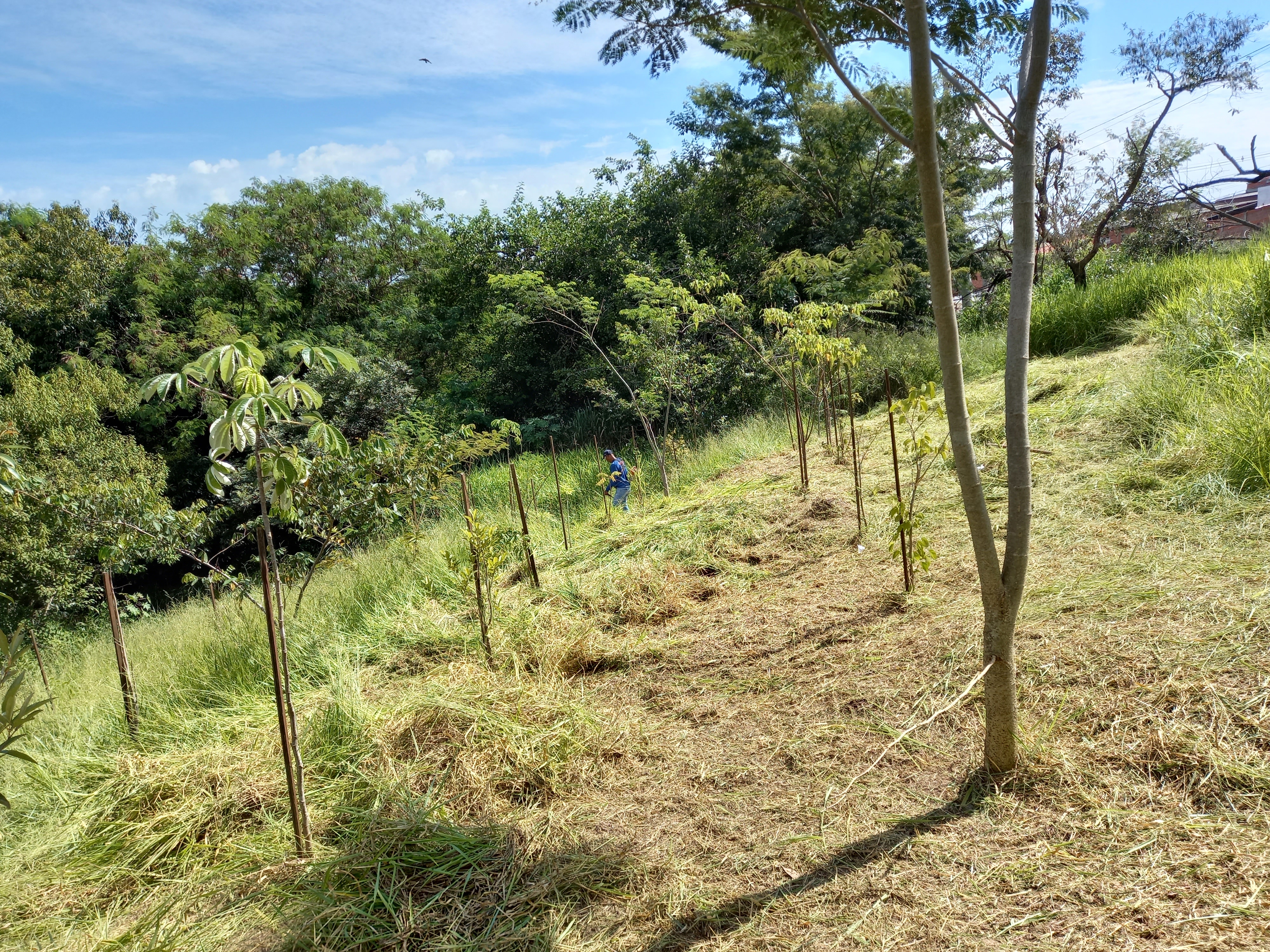 Serviço de Consultoria Ambiental em Americana
